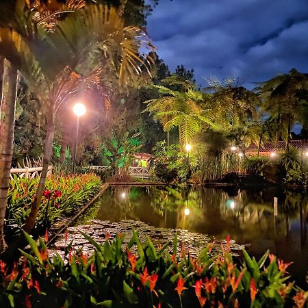 Finca Turistica De Alojamiento Rural Avalon 贾丁 外观 照片
