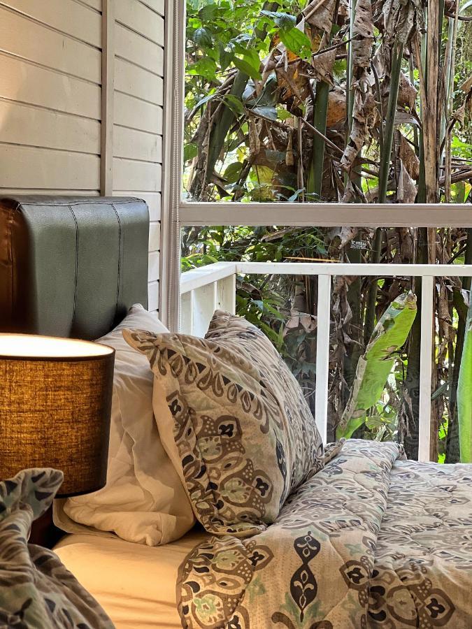 Finca Turistica De Alojamiento Rural Avalon 贾丁 外观 照片