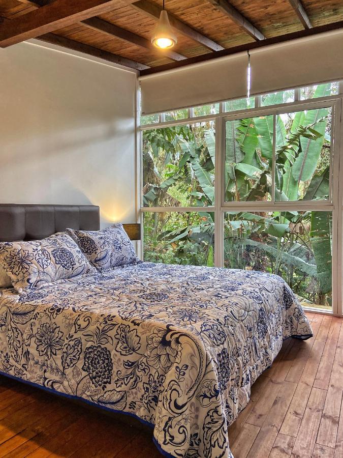 Finca Turistica De Alojamiento Rural Avalon 贾丁 外观 照片