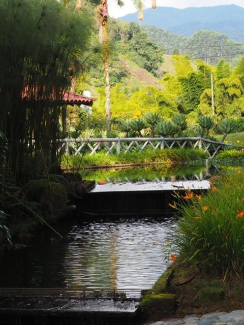 Finca Turistica De Alojamiento Rural Avalon 贾丁 外观 照片